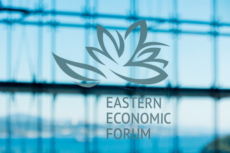 Восточный экономический форум (ВЭФ-2023)